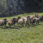 Zakrasnik * Škofja Loka