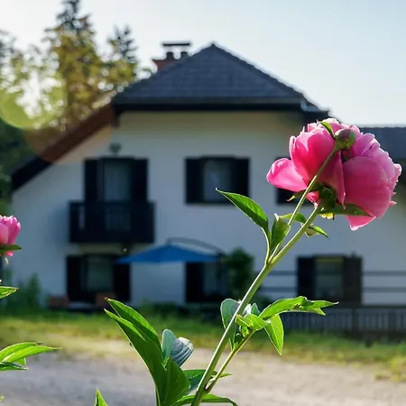 Zakrasnik Apartment *