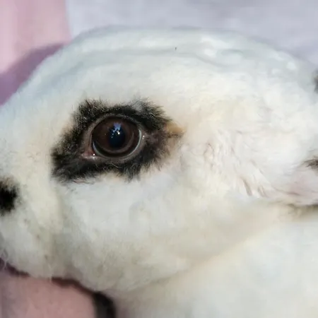 Διαμέρισμα Zakrasnik *