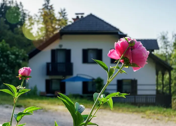 Zakrasnik Appartement *