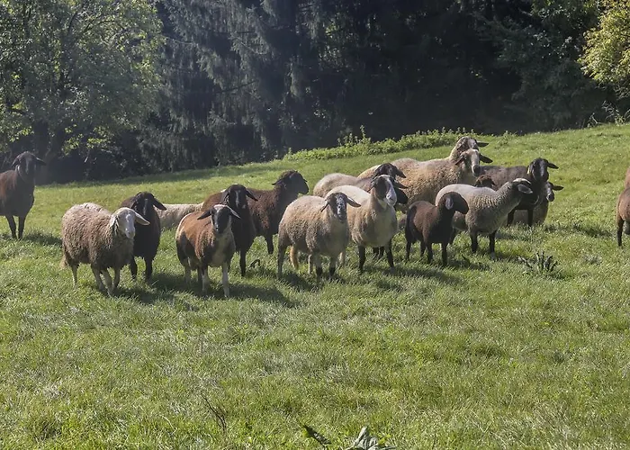 Zakrasnik * Škofja Loka