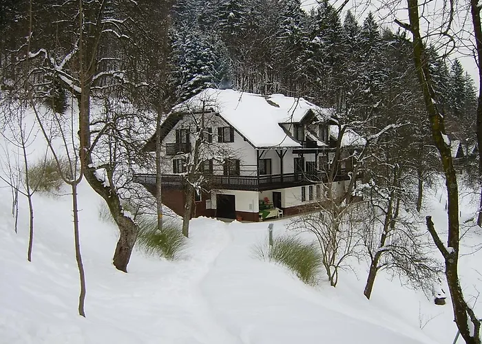 Zakrasnik Apartment *