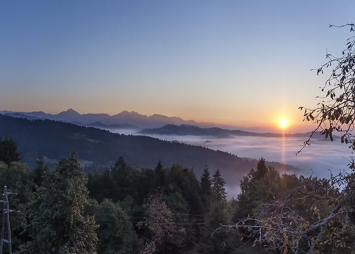 Apartment Zakrasnik *