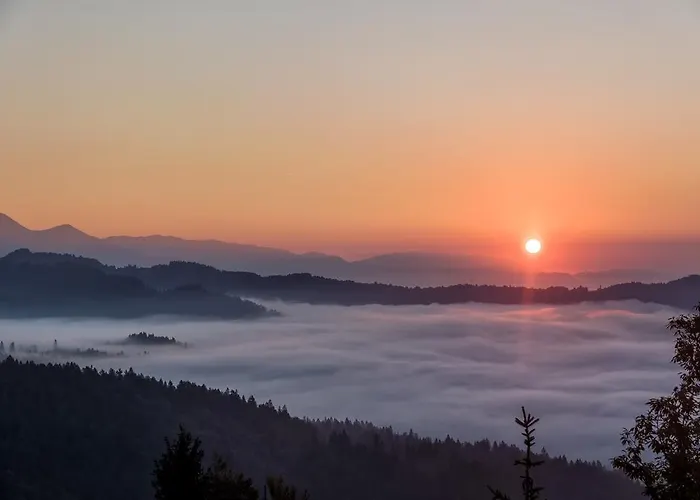 Zakrasnik Apartment *