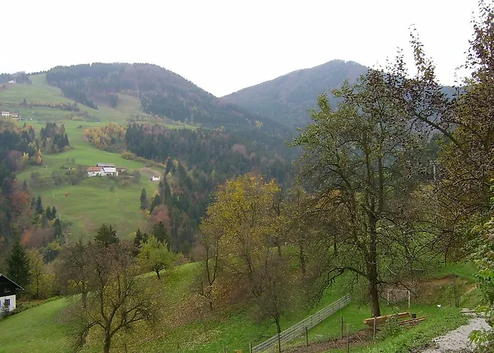 Appartement Zakrasnik